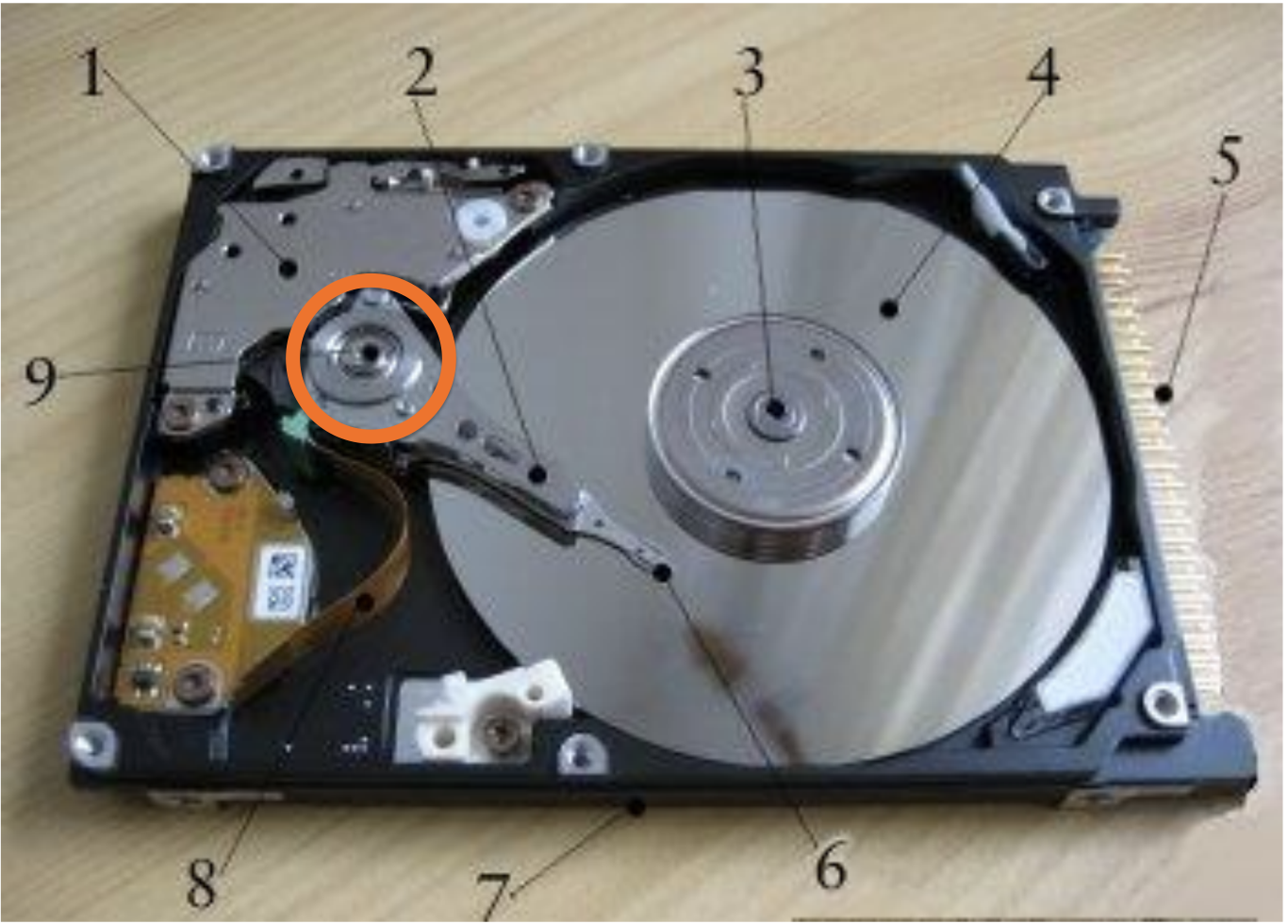 knowt flashcard image