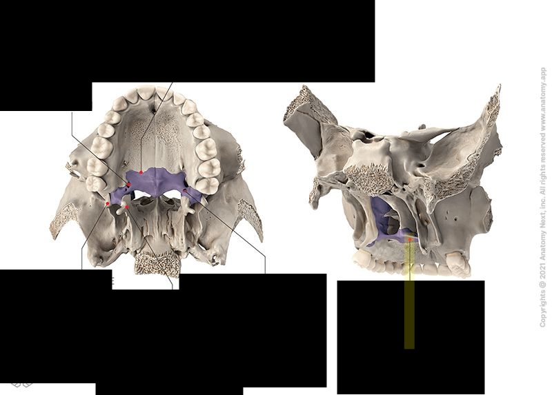 <p>What is the structure?***</p>