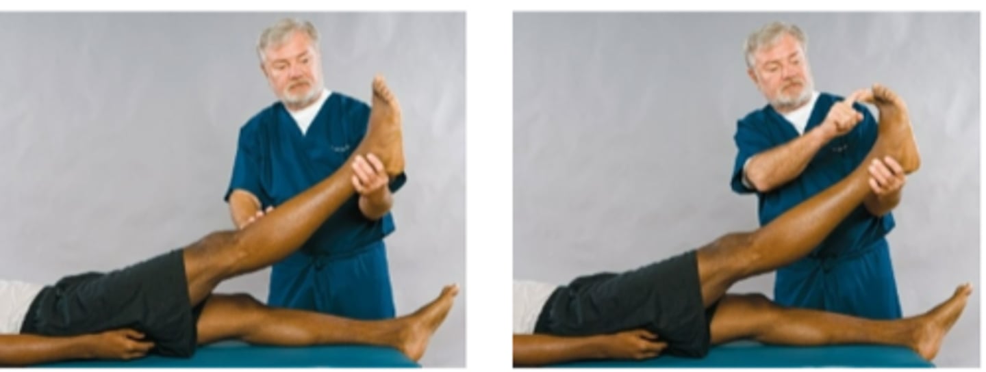 <p>Assessment for:</p><p>- Sciatic radiculopathy</p>