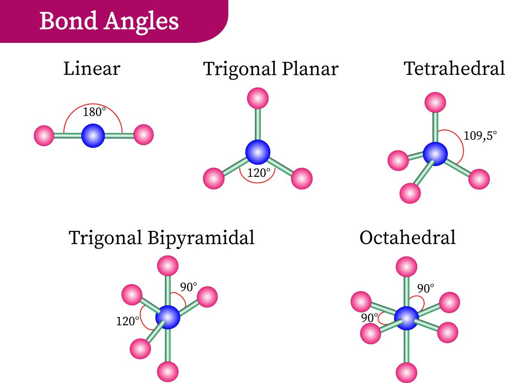 <p>tetrahedron </p>
