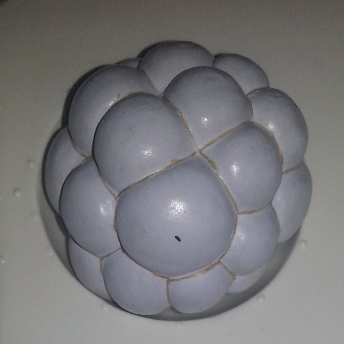 <p>When the cell begins to differentiate</p><p>16 or more cells</p>