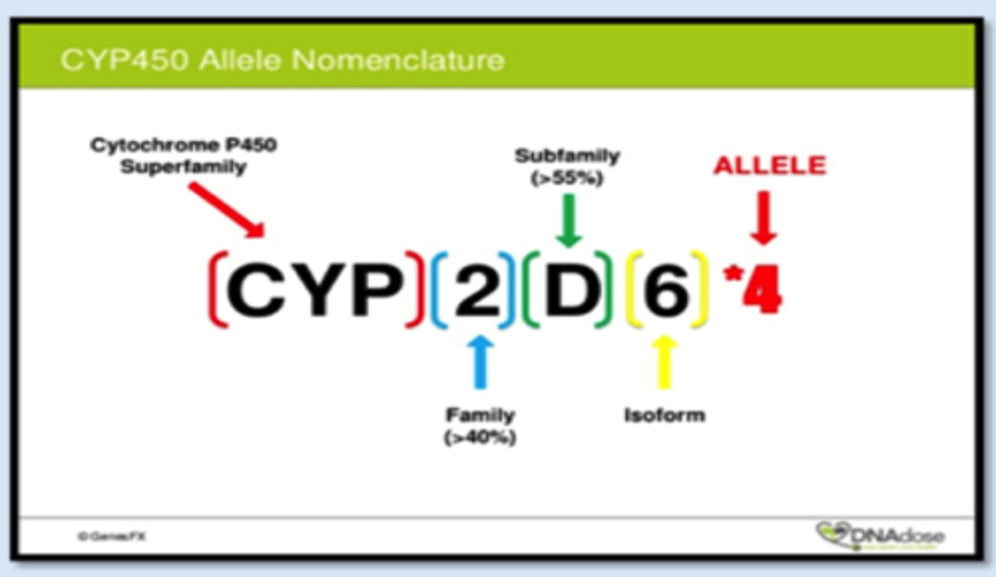 <p>family, sub-family, isozyme, and polymorphism</p>