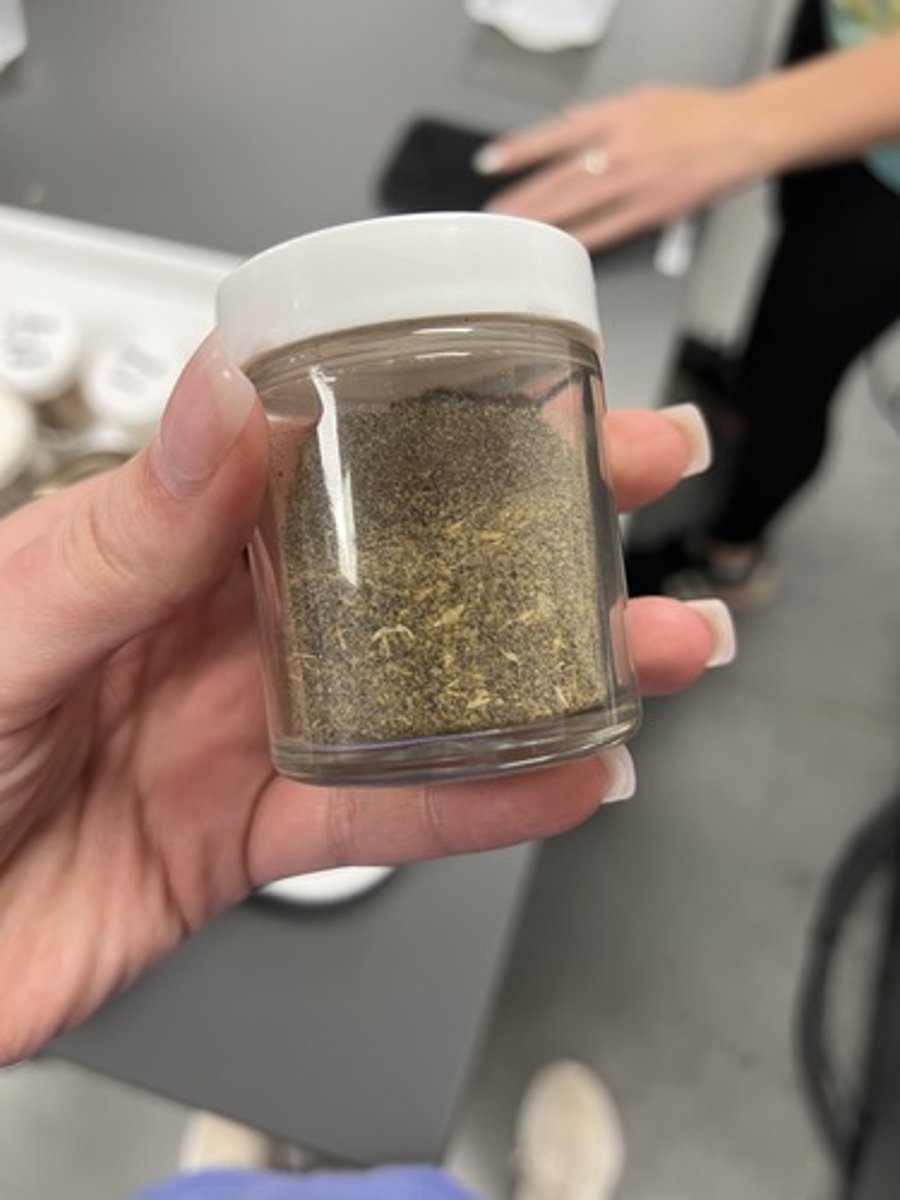 <p>- IFN #/Category (5) protein source</p><p>- AAFCO Category - plant protein product</p><p>- Feed Type - protein</p>