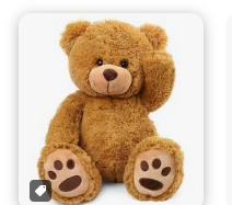<p>teddy bear</p>
