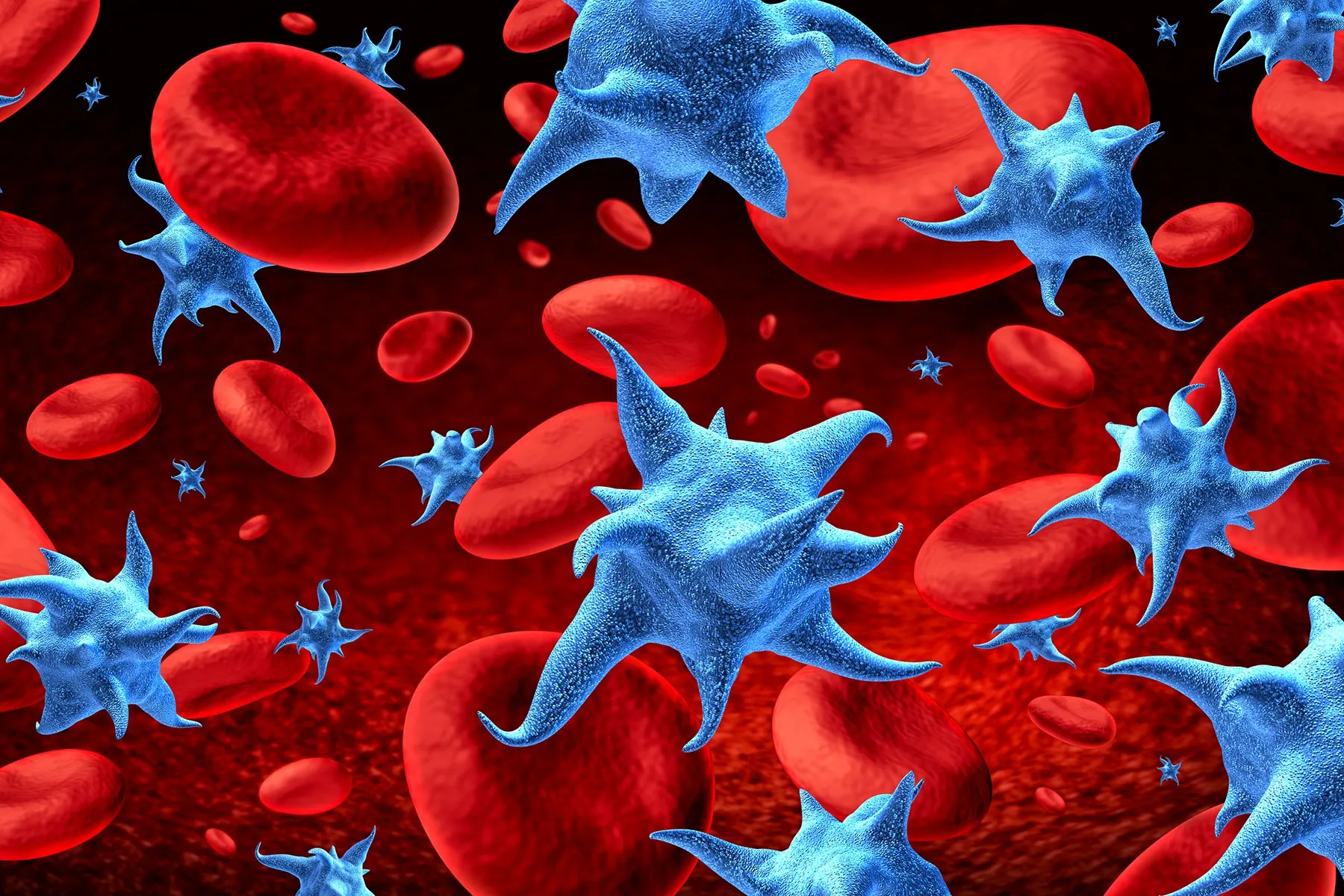<p>Cell fragment essential for blood clotting.</p>