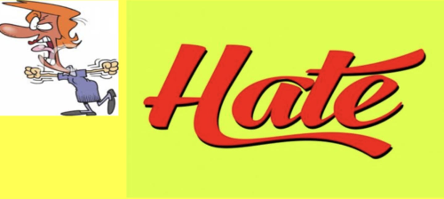 <p>to hate</p>