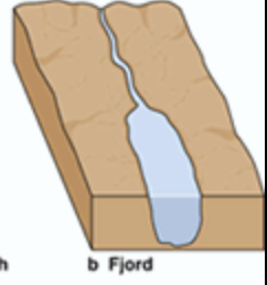 <p>a type of estuary characterized by being formed in a deep, U-shaped basin carved by glaciers, often with a shallow sill or submerged ridge near the mouth</p>