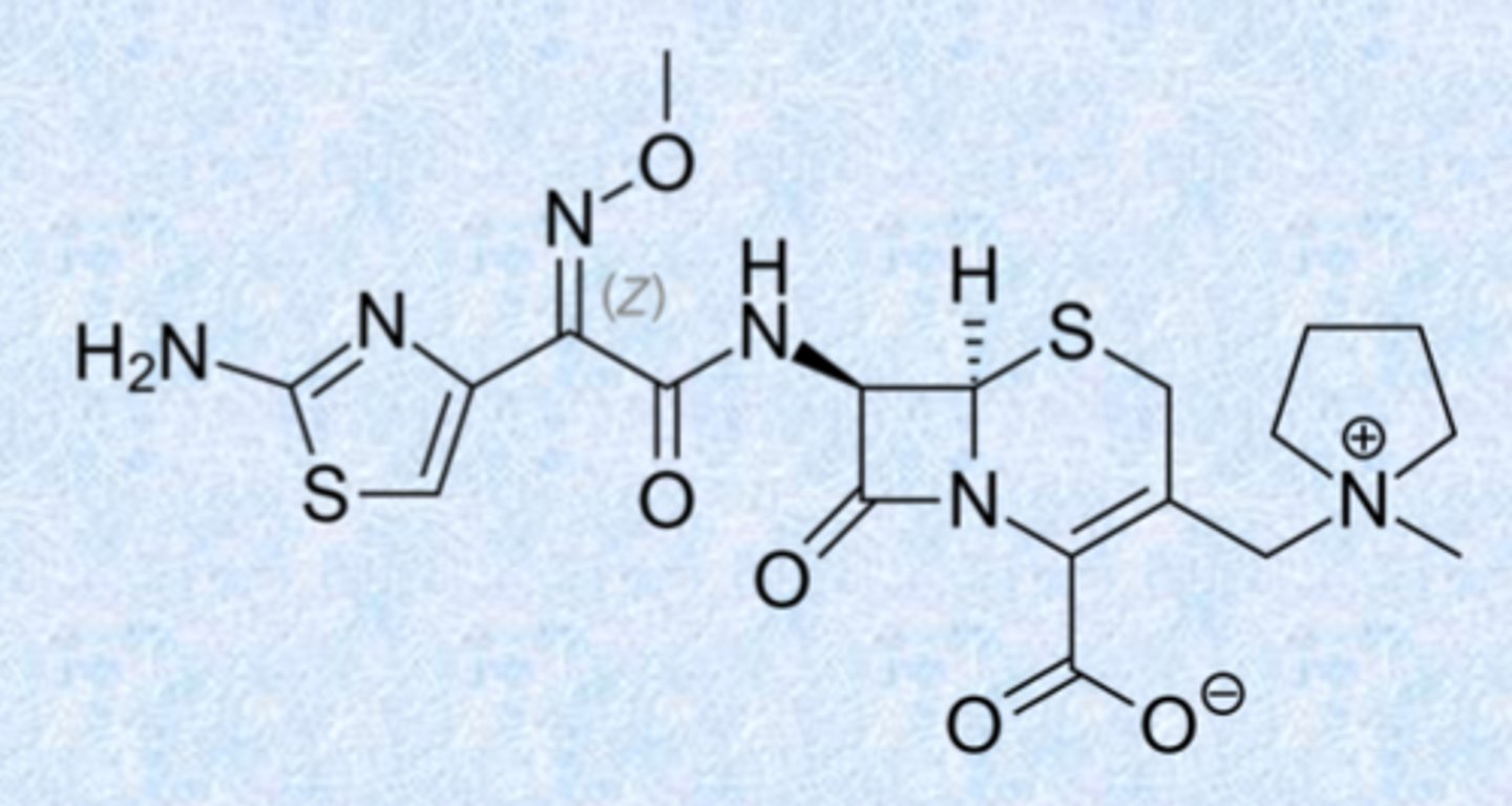 <p>- cefepime is the only one! </p><p>- offered extended spectrum and higher potency than third generation compounds</p><p>- little structural difference with the third generation</p>