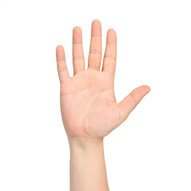 <p>Hand</p>