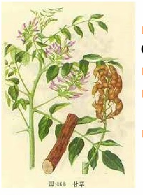 <p>Tác dụng - CAM THẢO BẮC</p>