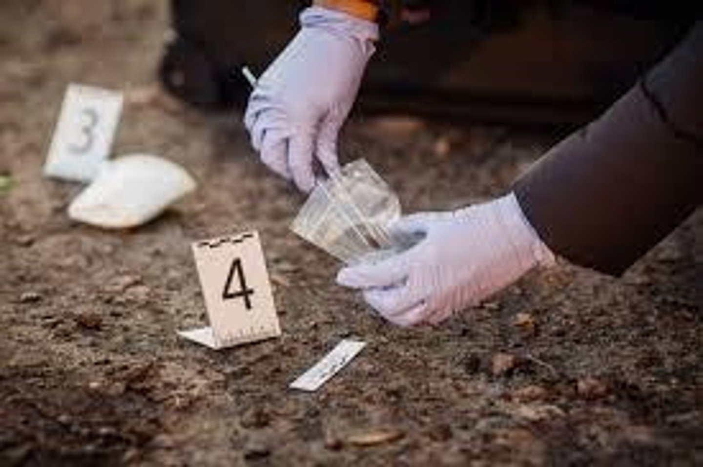 <p>To recognize, document, and collect evidence at the scene of a crime.</p>