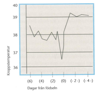 <p>Kroppstemperaturen sjunker först, för att sedan stiga när det är dags för valpning.</p>