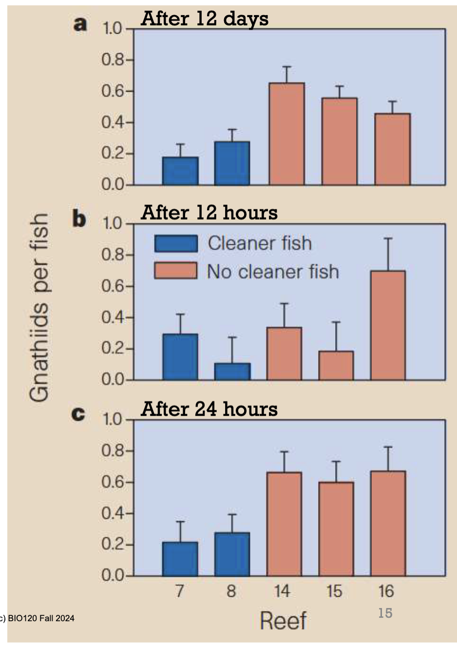 <p>Cleaner fish feed on parasites that are on the body of client fish. The cleaner fish then gain food while the client fish benefit from having fewer parasites (gnathiids) on their body. </p><p>There are ‘cleaning stations’ where client fish can go to get their parasites removed by them (like a grooming service). </p><p>Through research, ecologists noticed that the removal of cleaner fish increased the parasite abundance on client fish. </p>