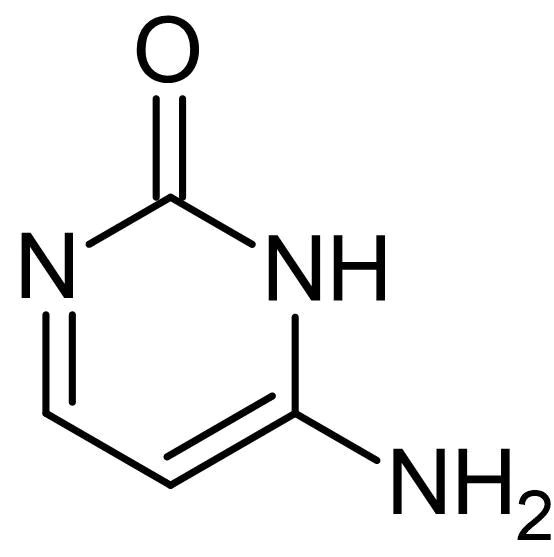 which nucleotide is this?