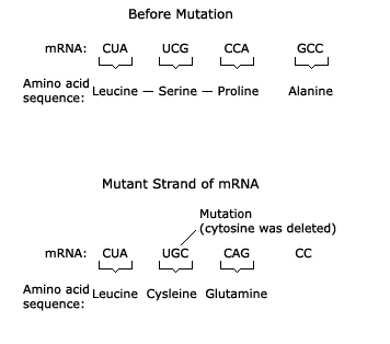 <p><span>How can a mutation affect an organism?</span></p>