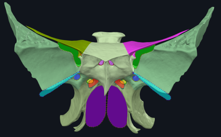 term image