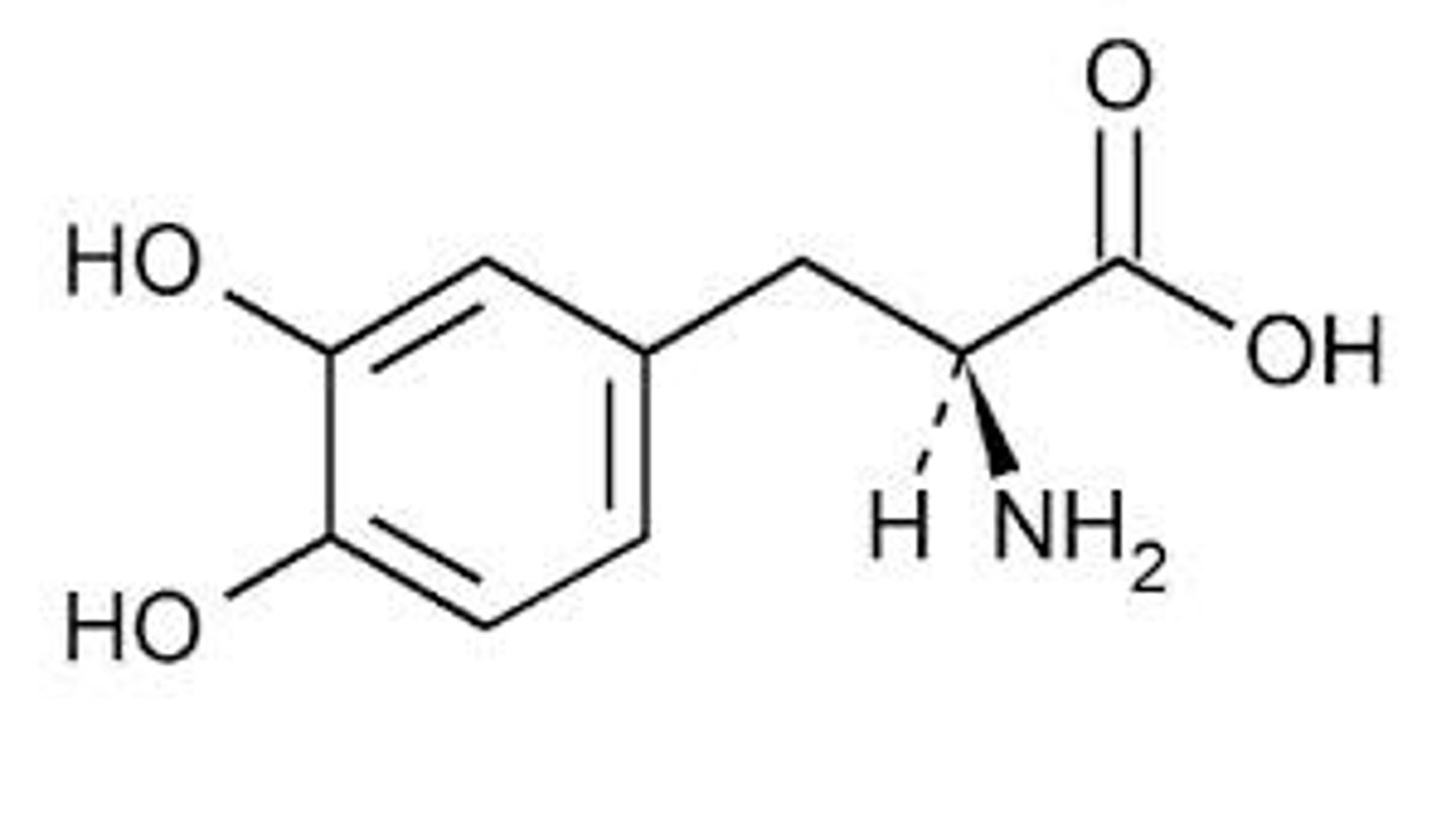 <p>Used to treat Parkinson's disease.</p>