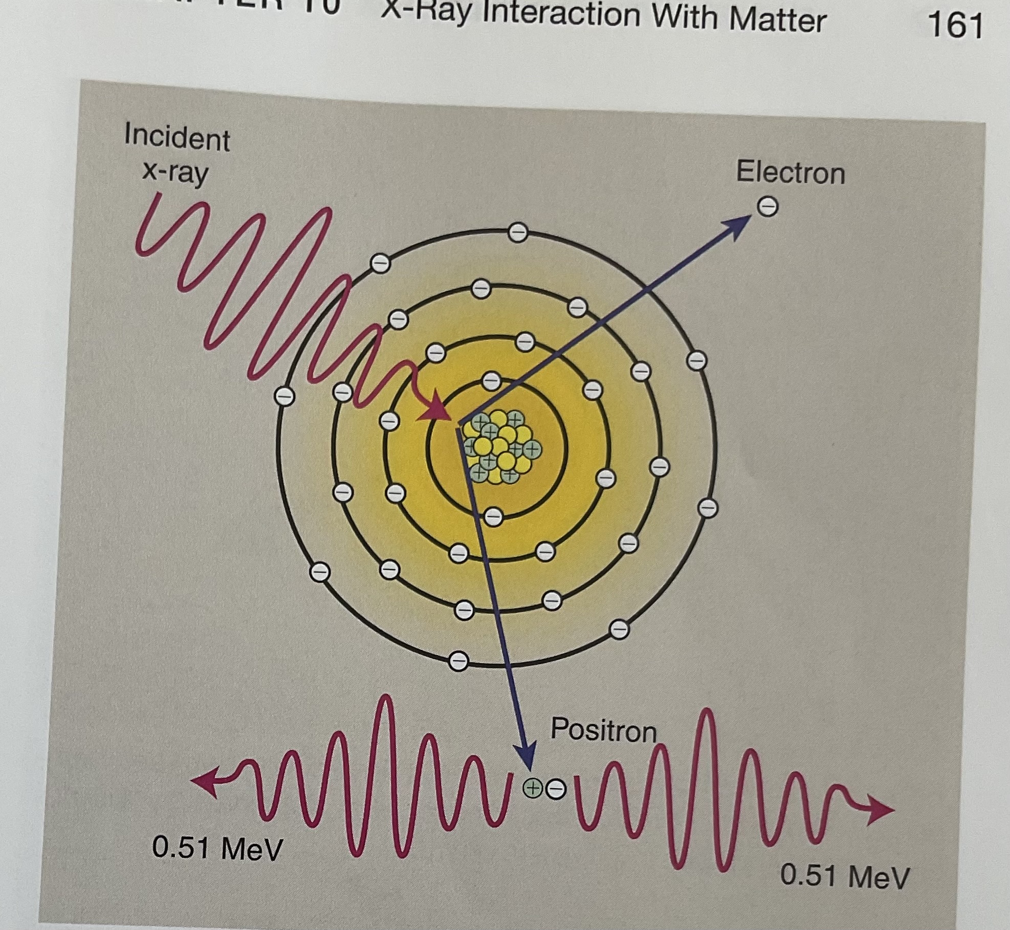 <p>Pair production refers to</p>