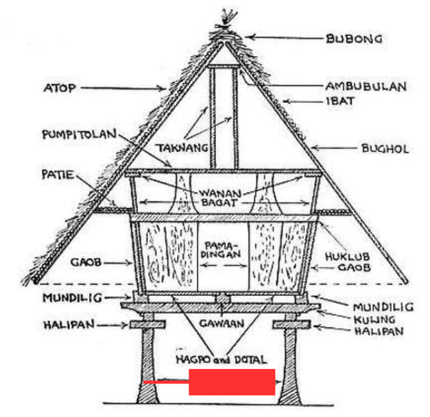 term image