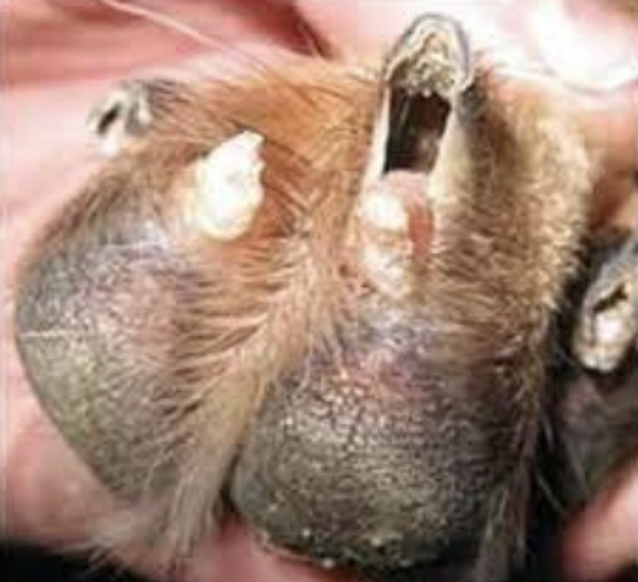 <p>What is this?</p>