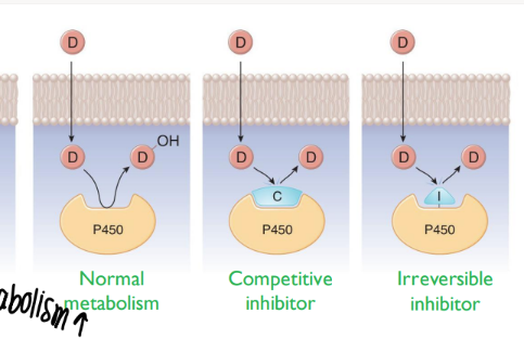 <ol><li><p>competitive inhib (outcompete) </p></li><li><p>irreversible inhib </p></li></ol>