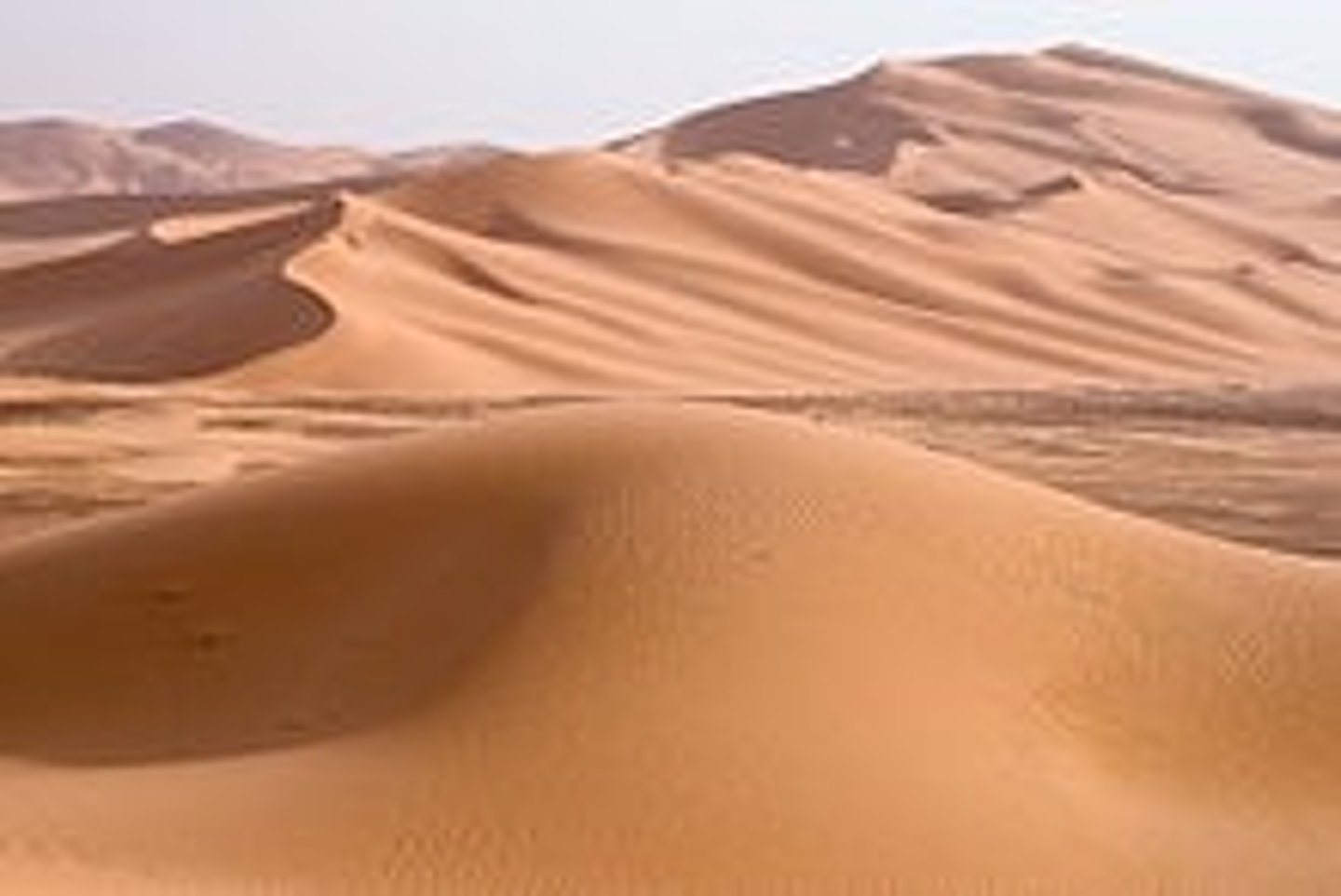 <p>sa mạc</p>