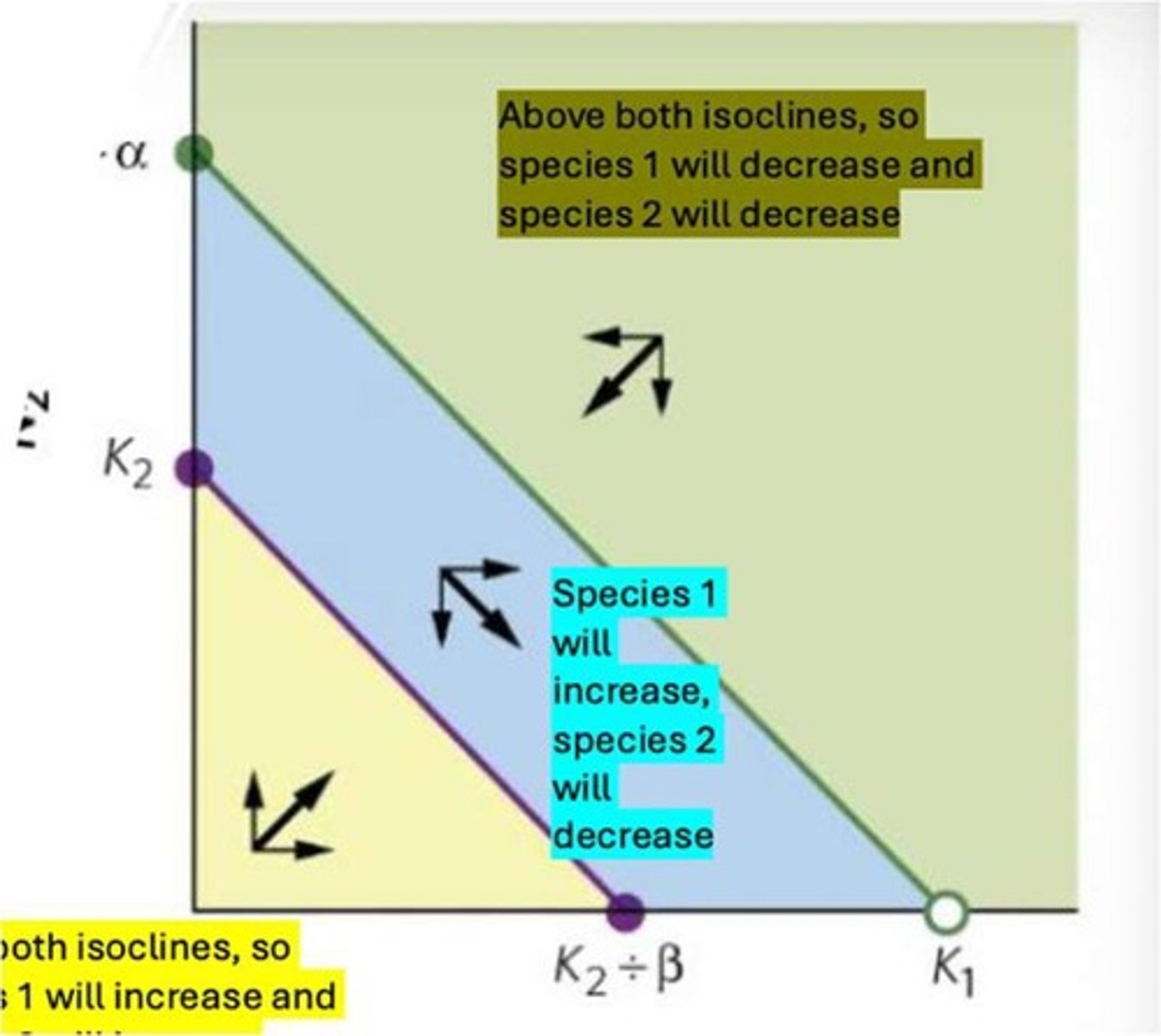 <p>1. Species 1 wins (competitive exclusion), 2. Species 2 wins (competitive exclusion), 3. Isoclines cross with species 1 winning depending on initial populations, 4. Coexistence occurs with isoclines crossing and intra greater than inter.</p>