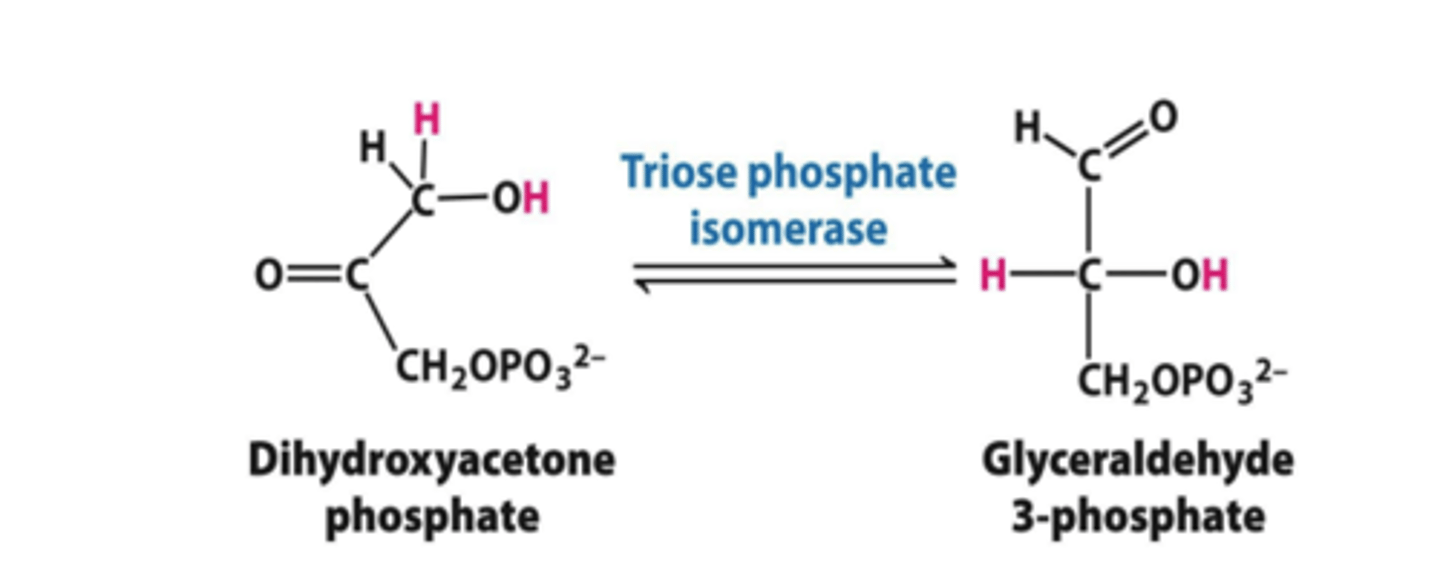<p>dhap &lt;=&gt; ga3p</p>
