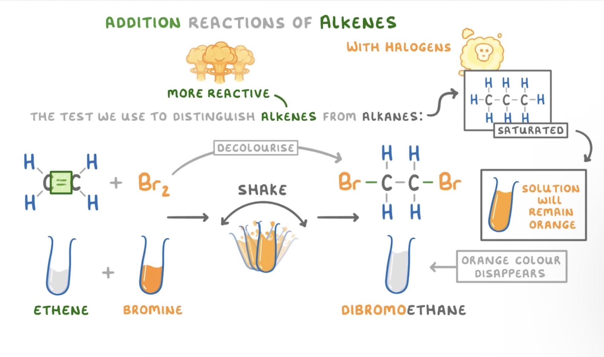 <p>Because alkenes have double bonds they are more reactive so can react with bromine to decolourise it </p><p>However, alkanes are saturated so they don’t have any double bonds for the bromine to be added to meaning if we add bromine water it o a solution of alkanes the solution will remain orange because the bromine won’t react </p>