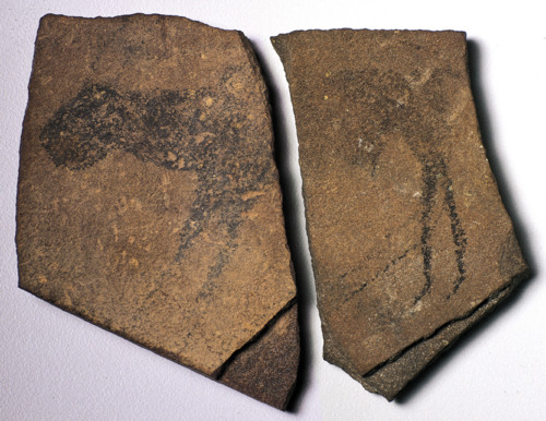<p>Namibia. c. 25,500-25,300 B.C.E. Charcoal on stone.</p>