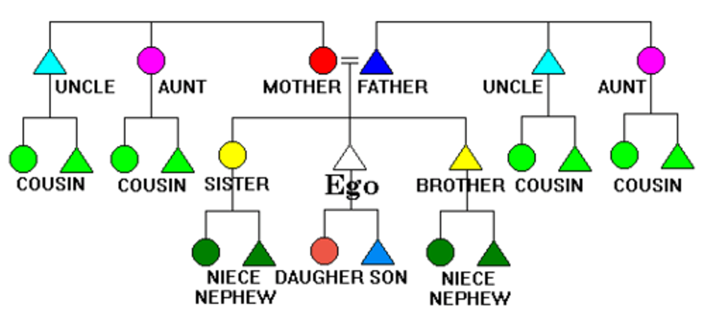 <p>A family, clan, or other group based on blood relationship.</p>