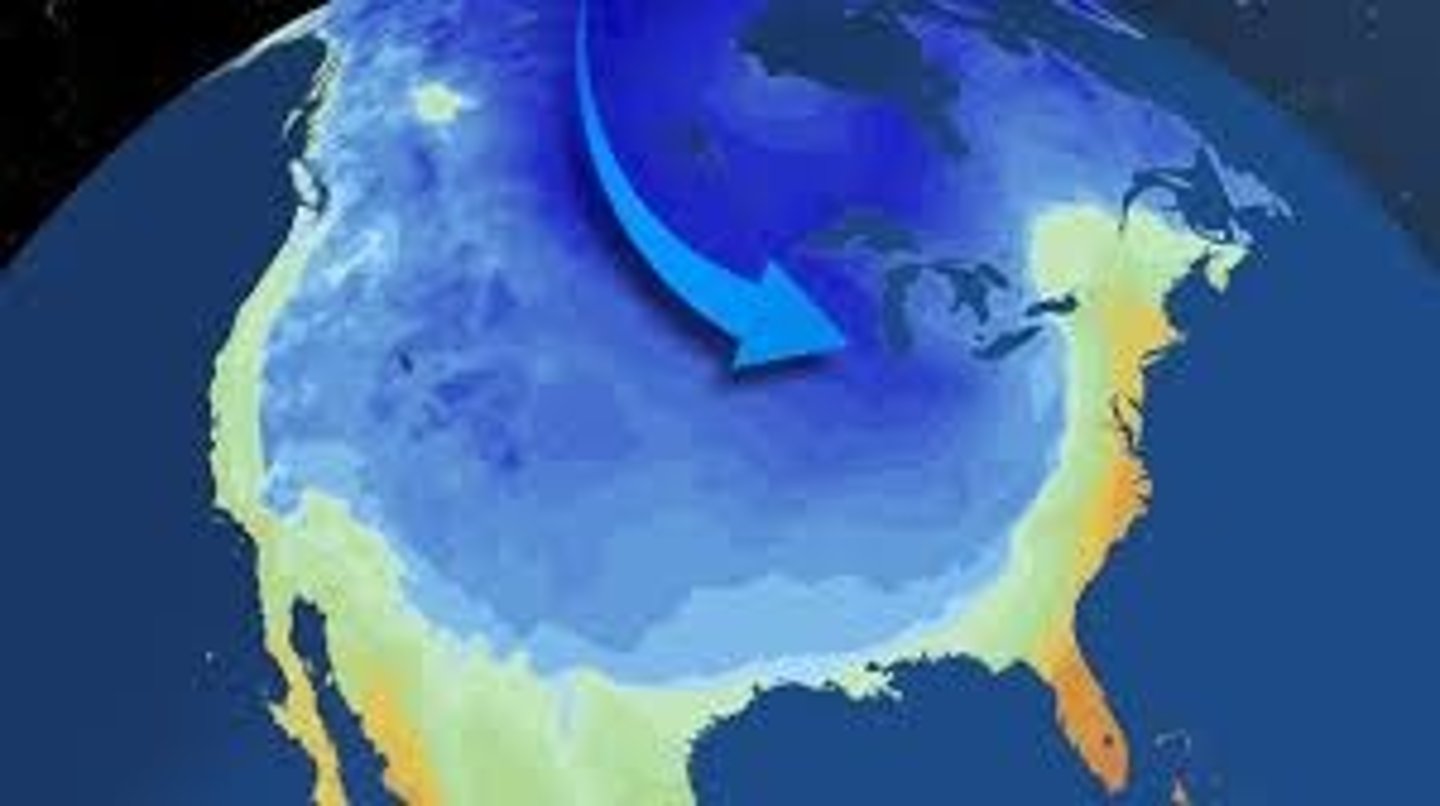 <p>A cold air mass that forms north of 50° north latitude and south of 50° south latitude.</p>