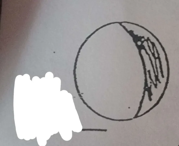 <p>What phase of the moon is this?</p>