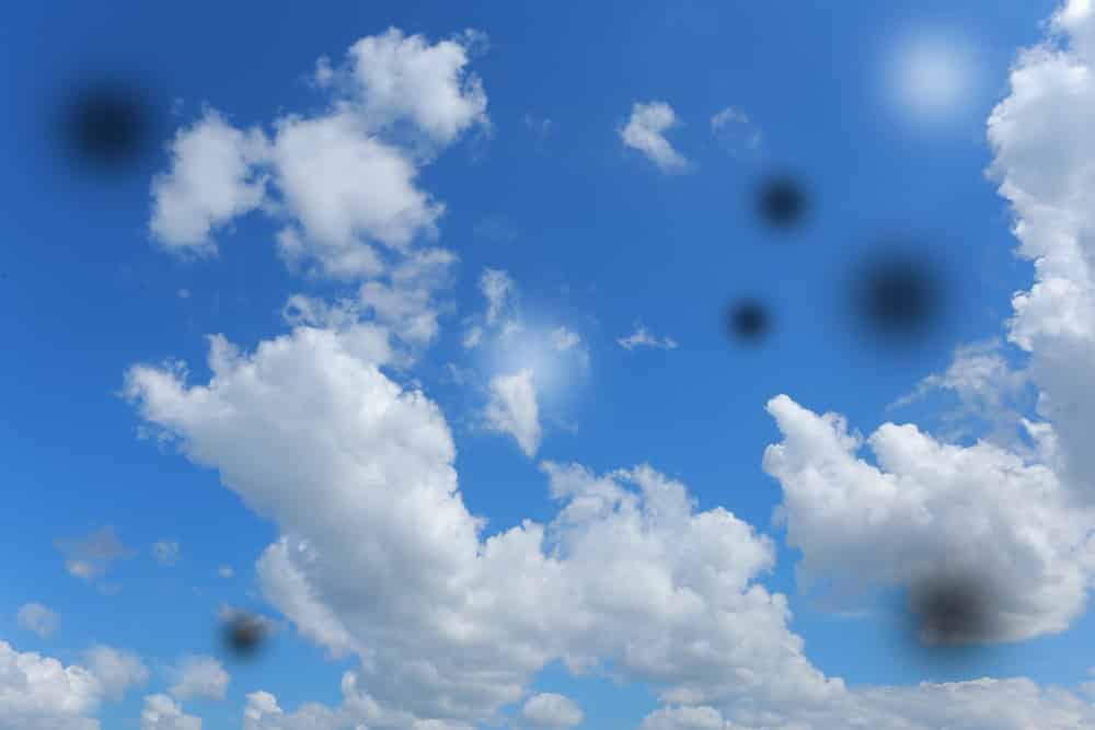 spots in vision that look like black or gray specks or strings that drift across the eyes. 