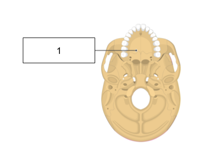 <p>What is this?</p>