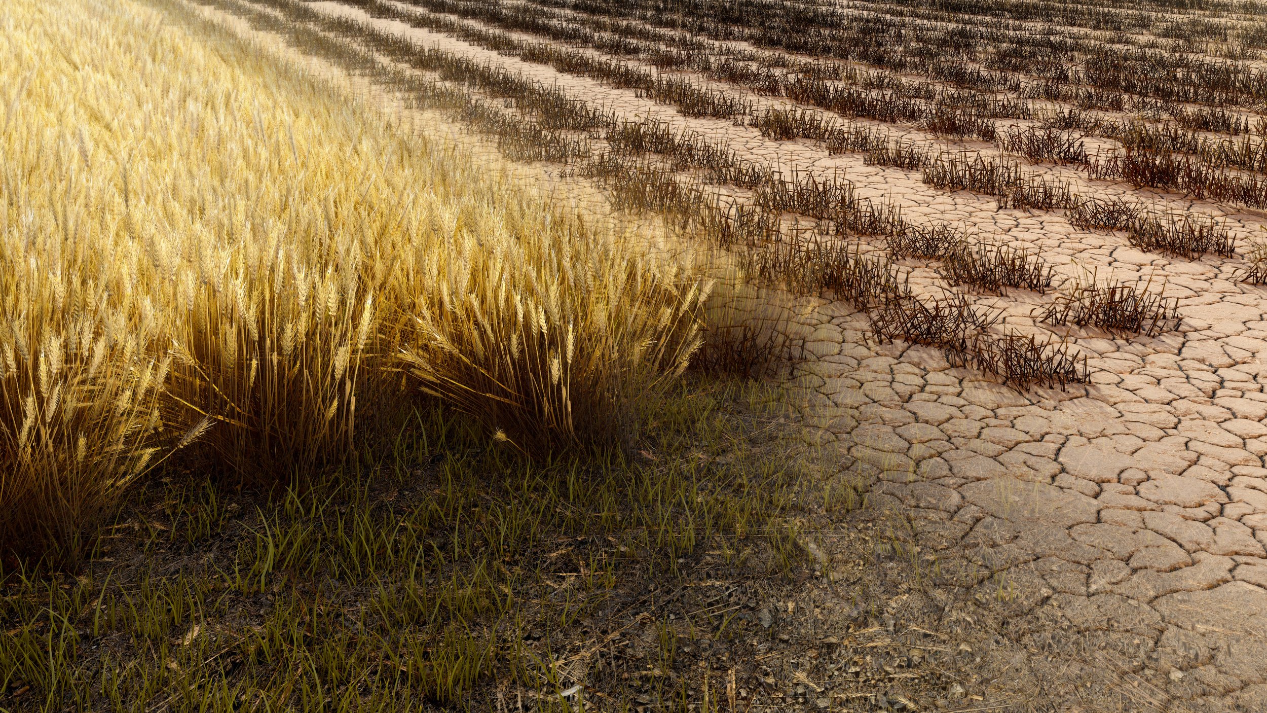 <p><strong>The loss of the ability of soil to support plant growth</strong></p><ul><li><p><u>loss of topsoil: </u>tiling (turning soil for agriculture) and loss of vegetation disturb soil and make it more easily eroded by wind and rain</p><ul><li><p>loss of topsoil dries out soil, removes nutrients +soil organisms that recycle nutrients</p></li></ul></li><li><p><u>compaction: </u>compression of soil by machines (tractors, bulldozers, etc.), grazing livestock, and humans <strong>reduces ability to hold moisture </strong></p><ul><li><p>dry soil erodes easier </p></li><li><p>dry soil supports less plant growth, less root structure, leading to more erosion</p></li></ul></li><li><p><u>nutrient depletion: </u>repeatedly growing crops on the same soil removes key nutrients (N, P, K, Na, Mg) over time </p><ul><li><p>reduces ability to grow future crops</p></li></ul></li></ul><p></p>