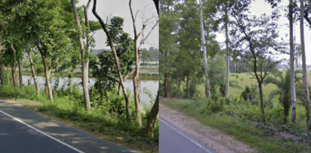 <p>Agricultural fields with water</p>