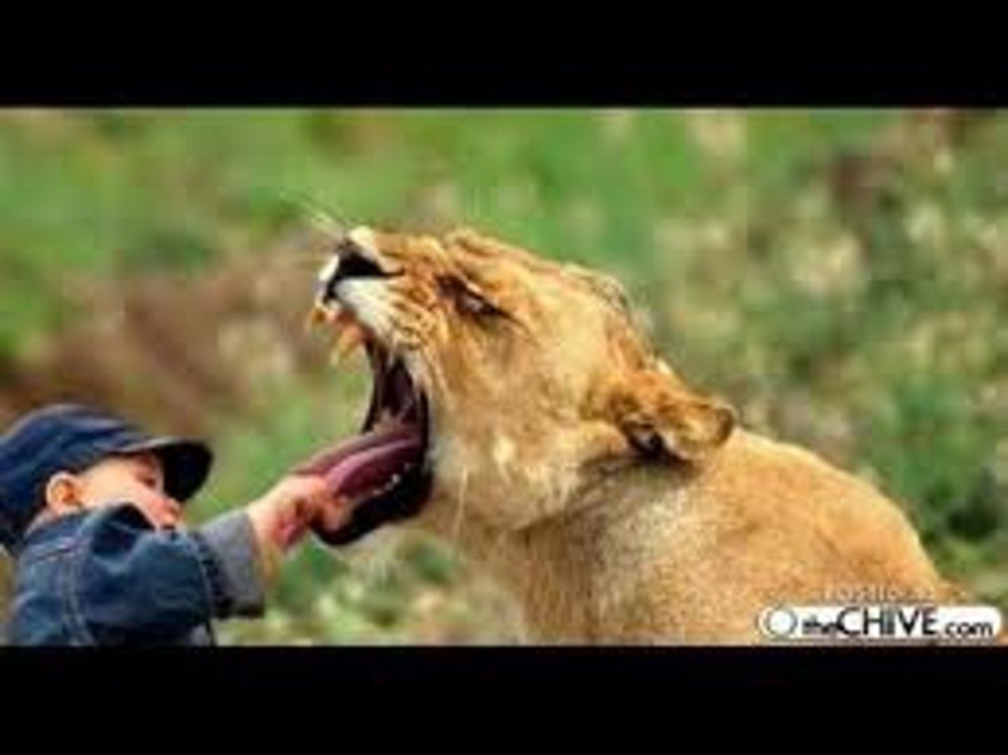 <p>sich trauen etwas zu tun; to dare do something</p>