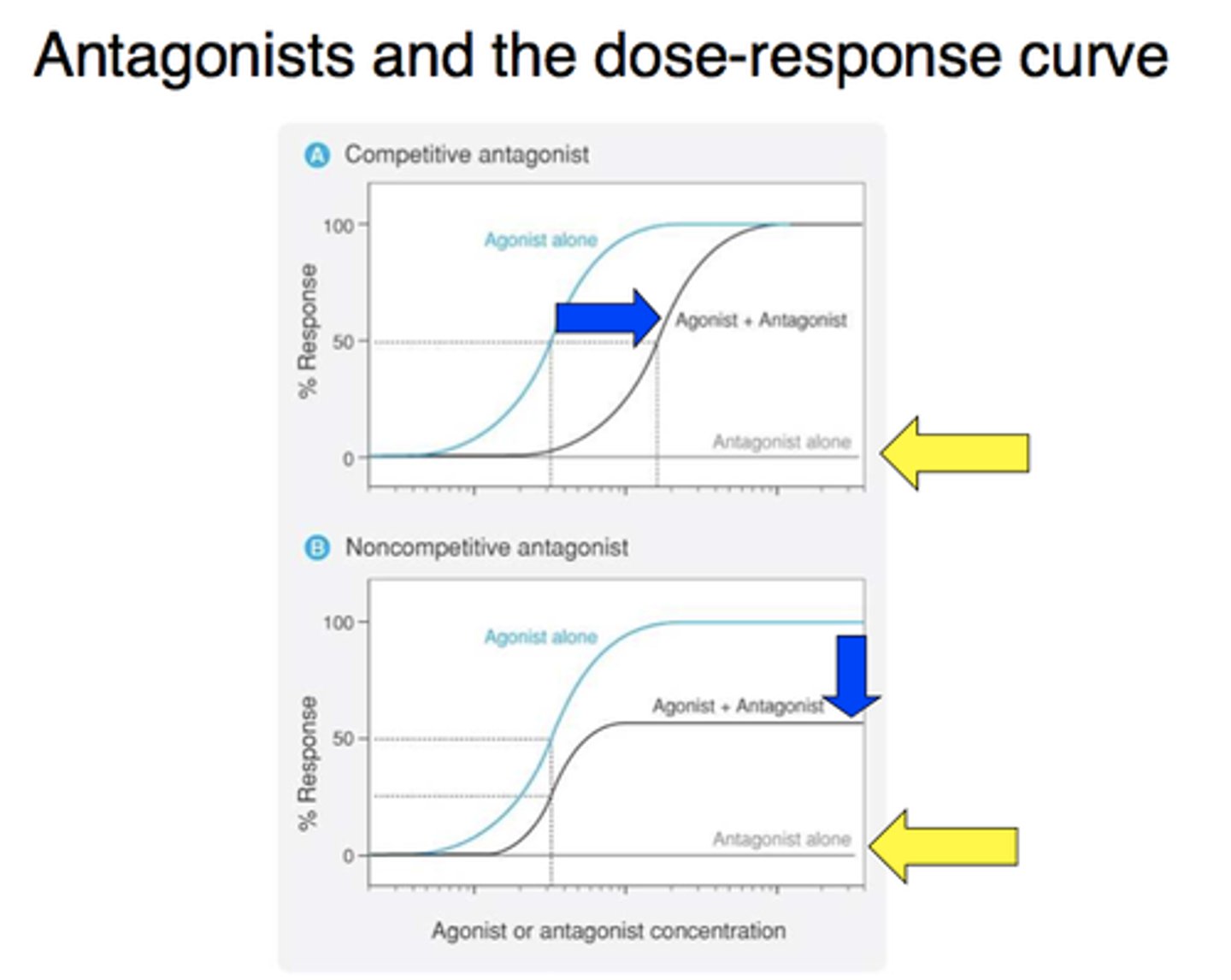 <p>drug+ noncompetitive antag= shift down (lower efficacy)</p><p>drug + competitive antag= shift right (can outcompete w higher dose to get same efficacy)</p>