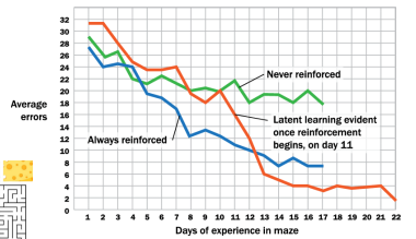 <p><strong>Biology, cognition, and learning</strong> (<em>mod 29)</em></p><p>Learning occurs but is not apparent until there is an incentive to demonstrate it. </p><p>Ex:  E. Tolman rats and maze study: after rats found out by themselves that there was food at the end of the maze, they began to form cognitive maps and demonstrate latent learning by completing the maze faster and faster each day.</p>