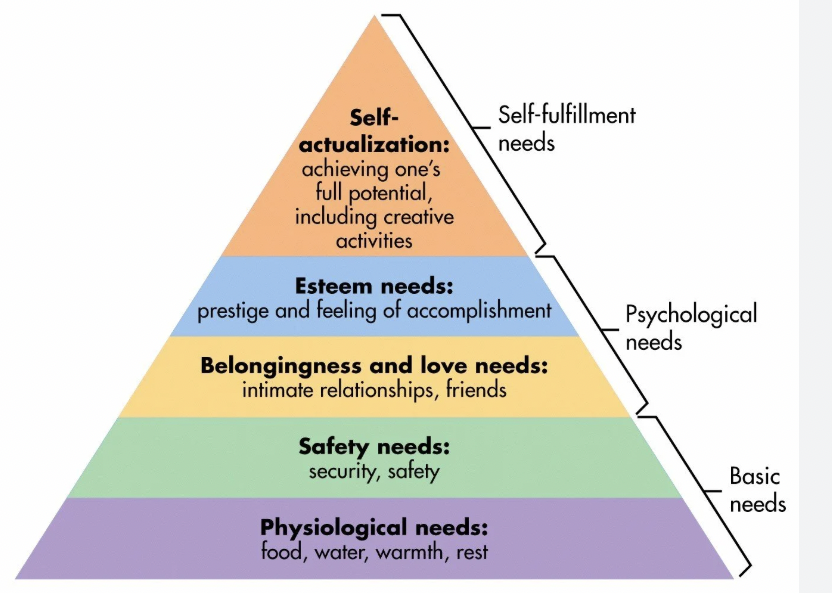 <p>Maslows hierachy of needs </p>