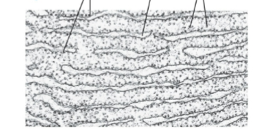 <p></p>