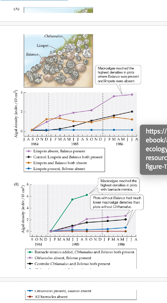 <ul><li><p class="p1">Farrell Experiment: But why and how would Balanus facilitate macroalgal colonization? </p></li></ul><p></p>