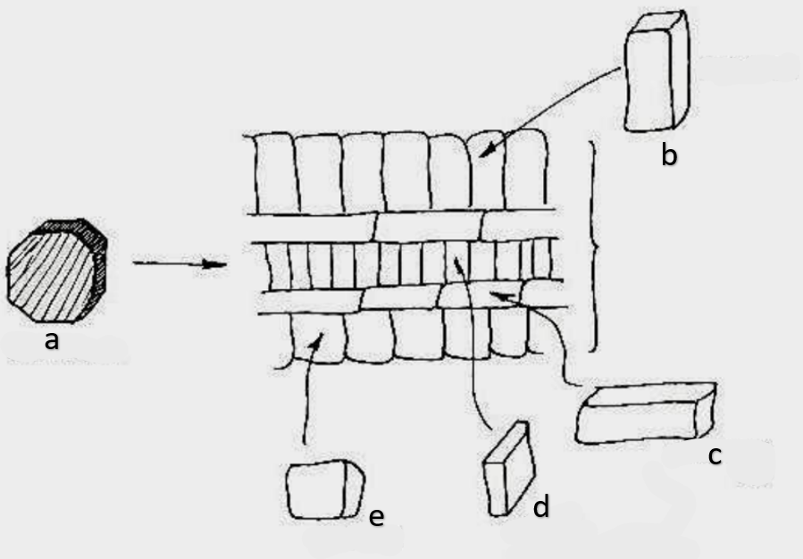 <p>b</p>