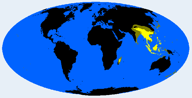 <p>South Mongoloid</p>