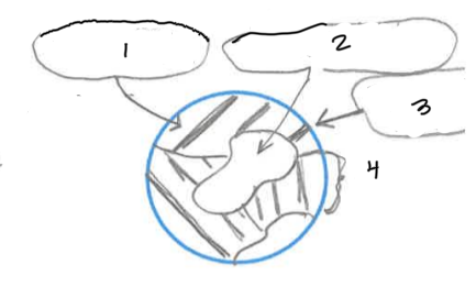 <p>Name the parts of the diagram 1-4 in order</p>