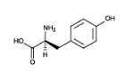 <p>Tyrosine</p>