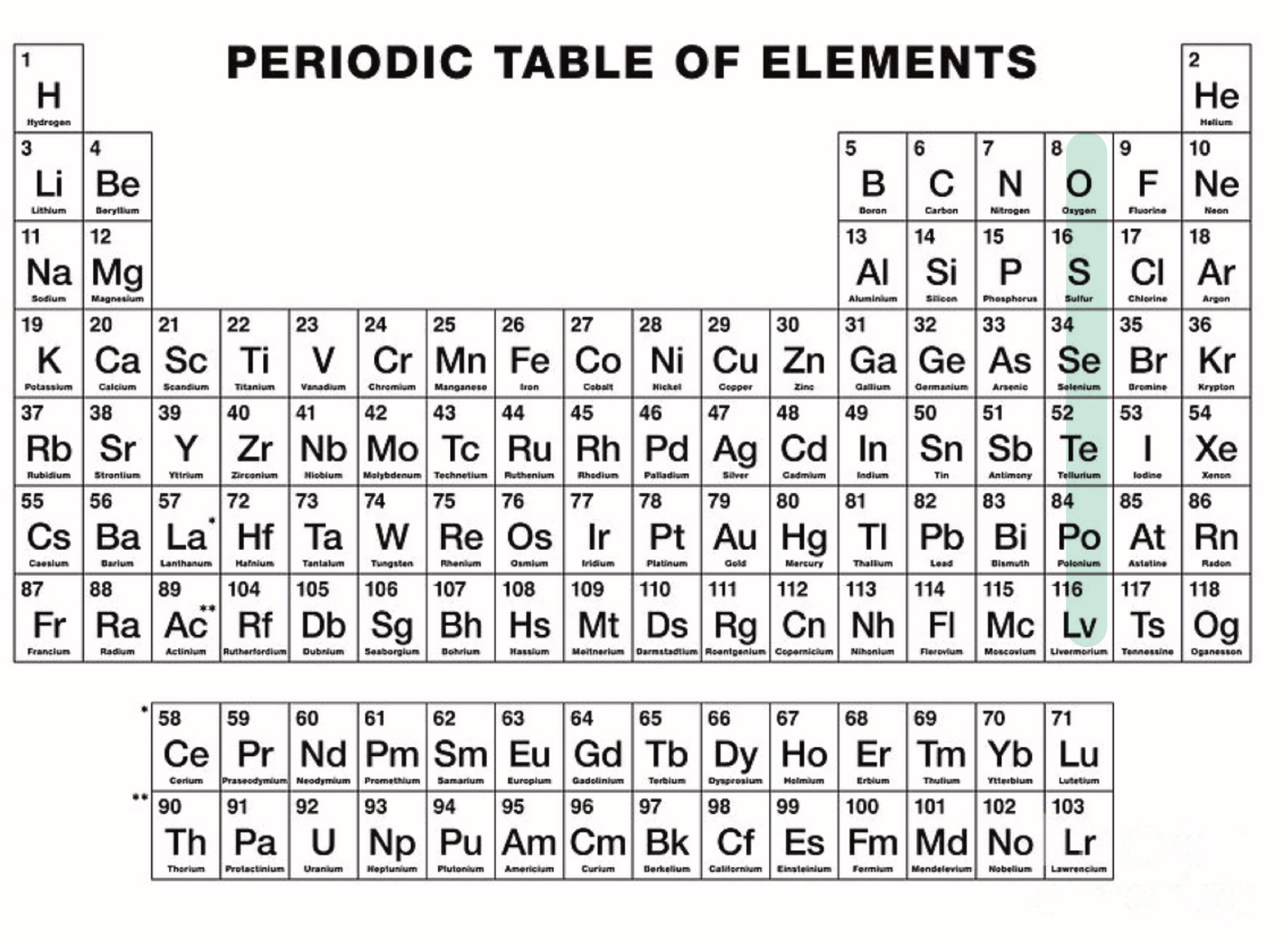 <p>What could you find in the highlighted area?</p>