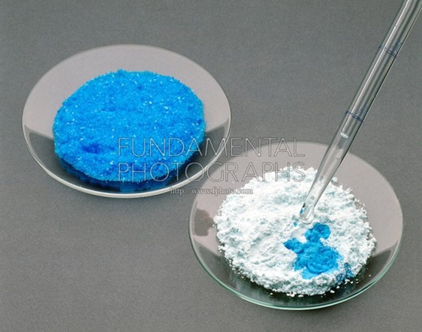 <p>Anhydrous Copper Sulfate turns from White to Blue</p>