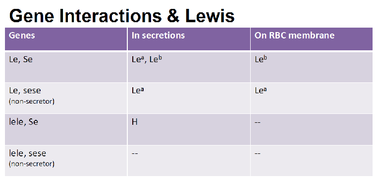 <p>caused by interaction between Le and Se gene&nbsp;</p><ul><li><p><span>Le(a+b-): ABH non-secretors</span></p></li><li><p><span>Le(a-b+): ABH secretors</span></p></li><li><p><span>Le(a-b-): More frequent among African American population, either secretors or non-secretors</span></p></li><li><p><span>Le(a+b+): More frequent among Asian population</span></p></li></ul><p></p>